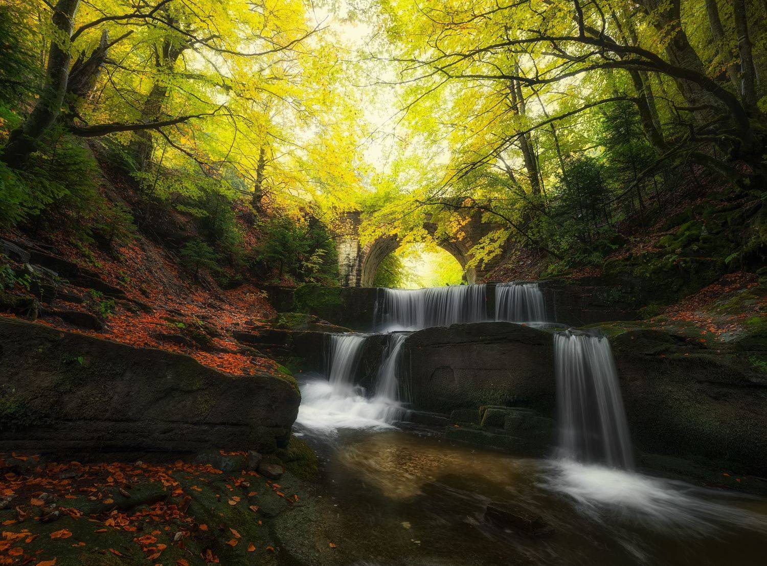 , Костадин Маджаров