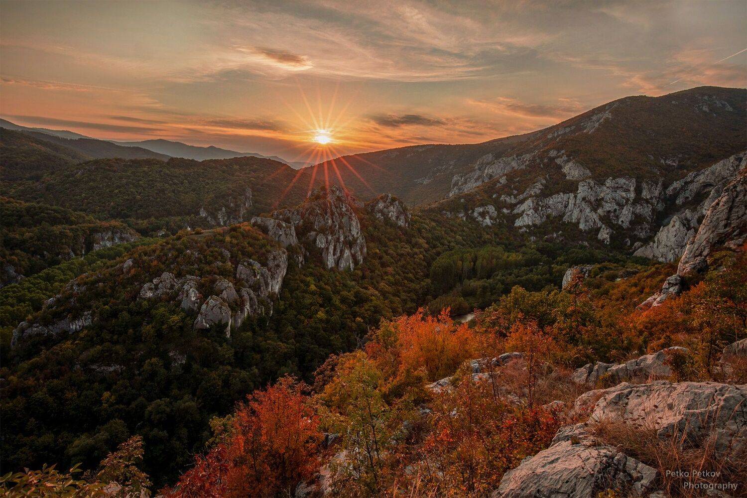 , Петко Петков