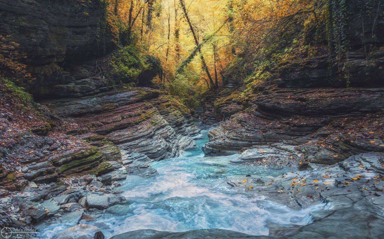 , Александр Круль