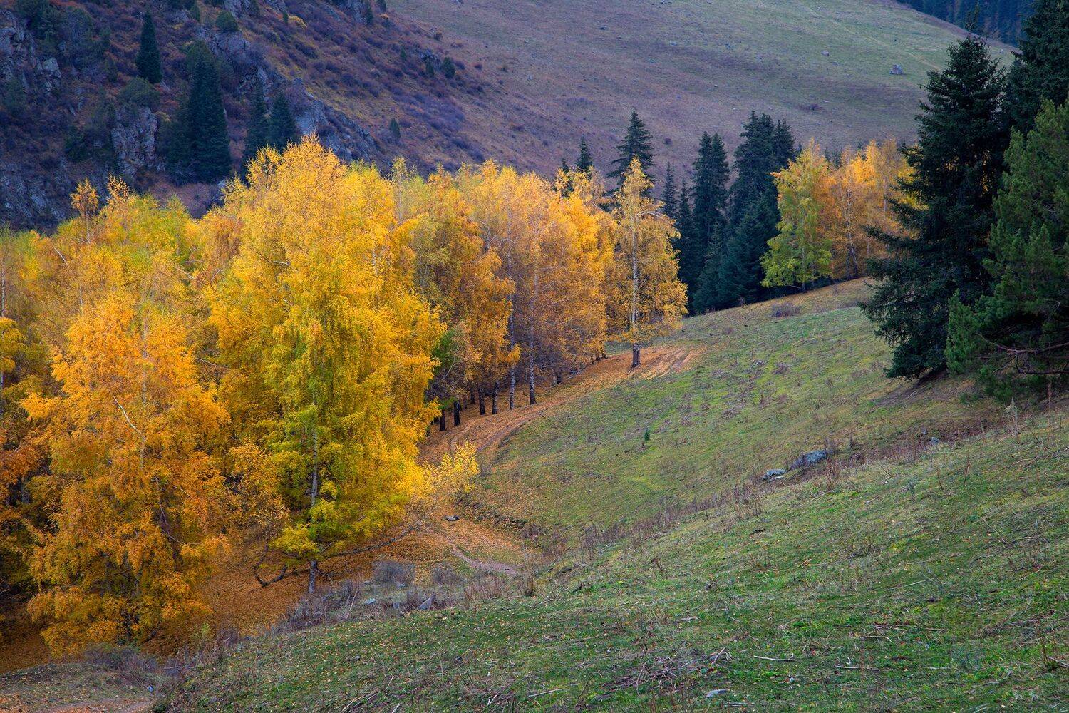 кыргызстан, горы, Элина Магалимова