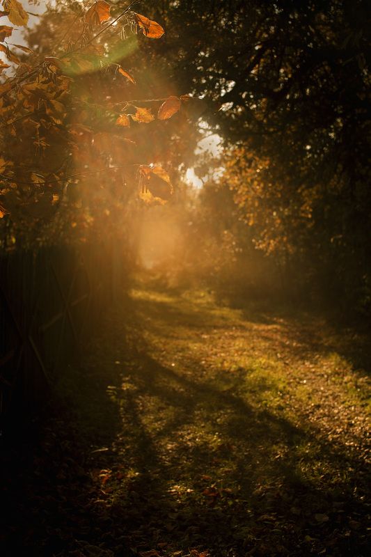 осень фото превью