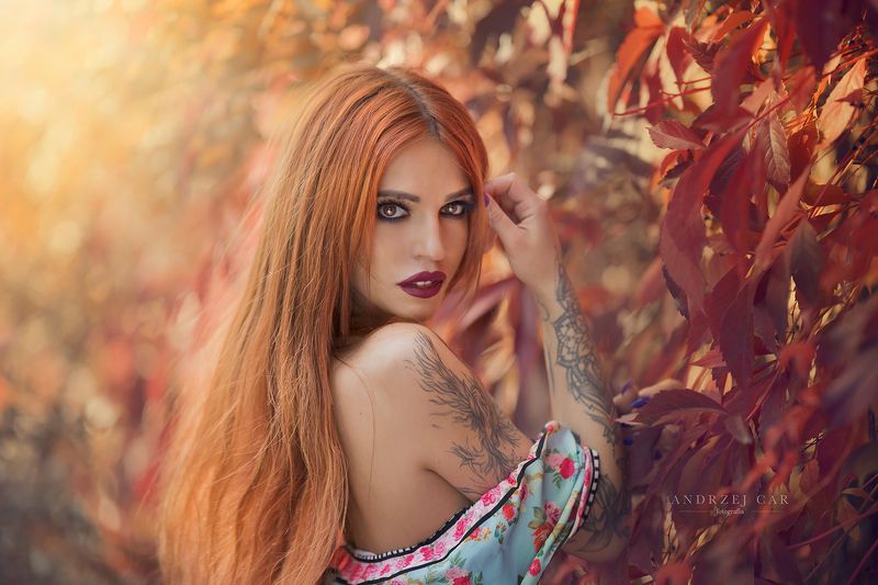 Dorota фото превью