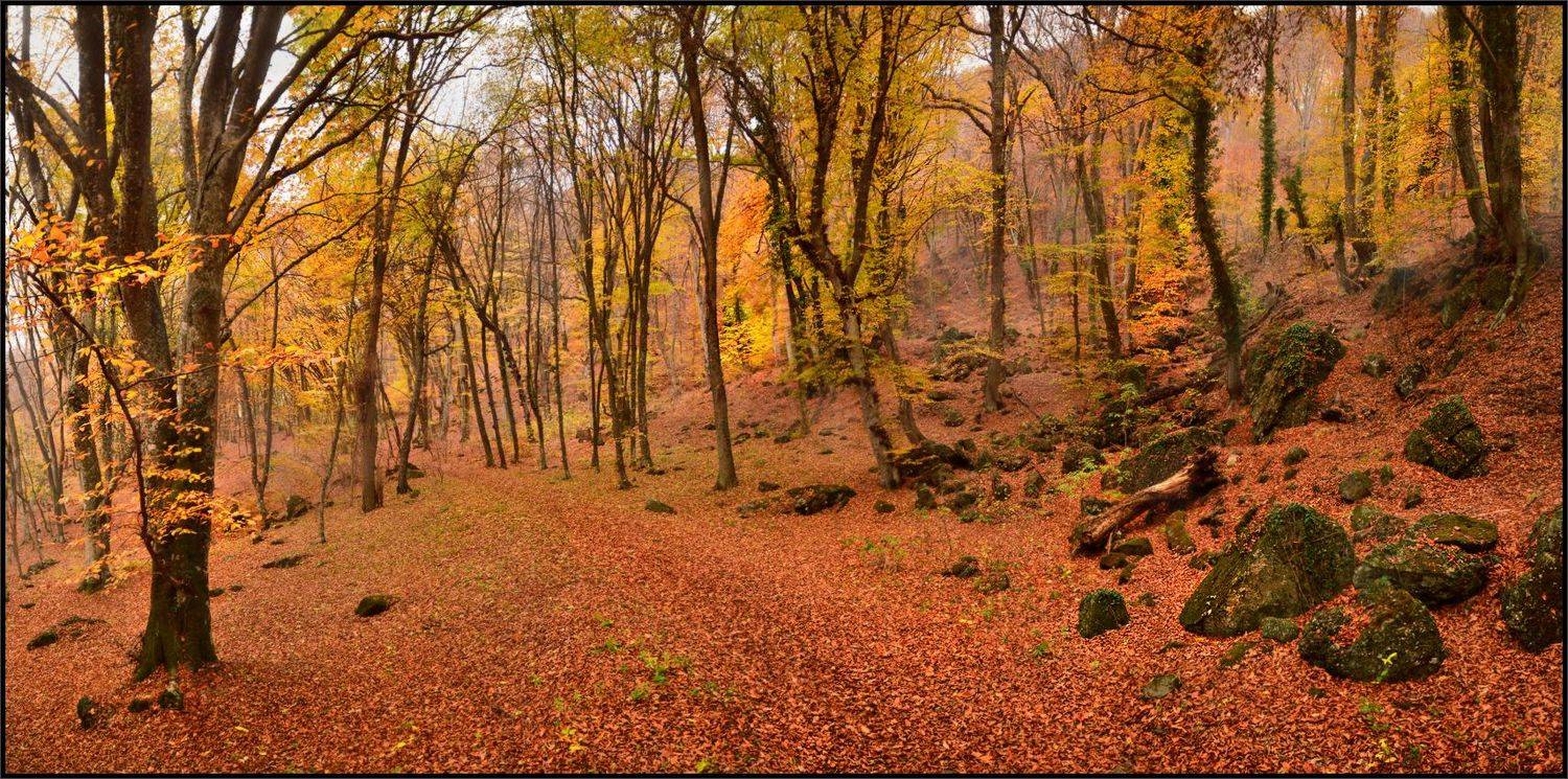 , Владимир Метцгер