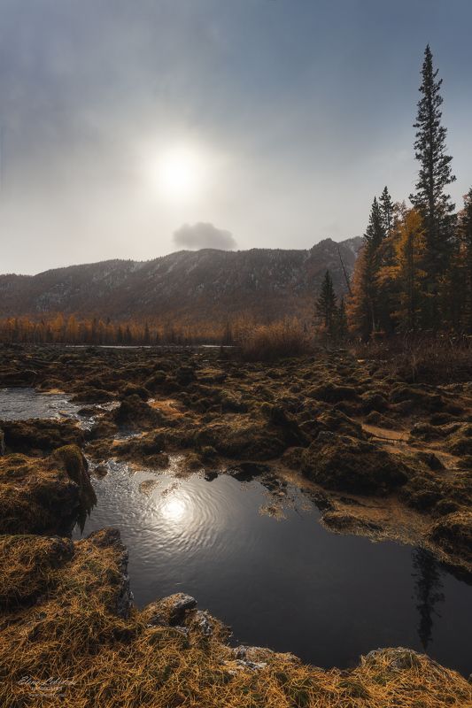 бурятия, сибирь, россия, осень, лавовое_озеро, лиственницы, природа, пейзаж Улыбка осени/ Autumn smile фото превью