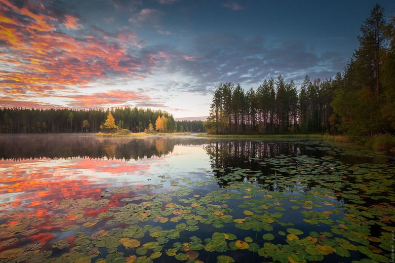Карелия, оз. Лебяжье фото превью