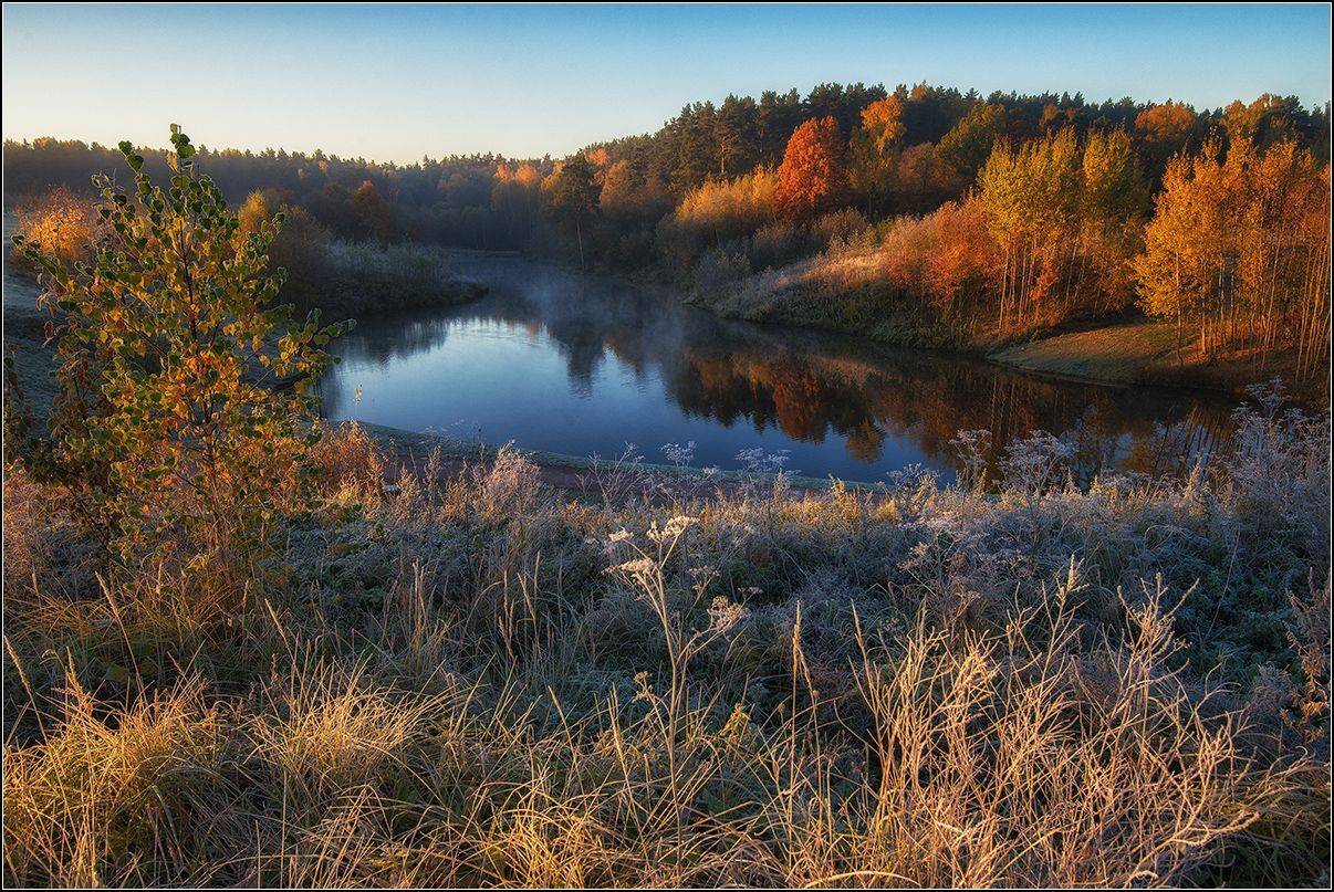москва, мещерский парк, утро, пруд, туман, отражение, изморозь, АНАТОЛИЙ ДОВЫДЕНКО