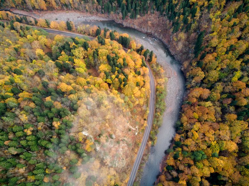 пейзаж, осень, дорога, аэрофотосъемка, река, лес, landscape, autumn, road, aerial photography, river, forest  фото превью