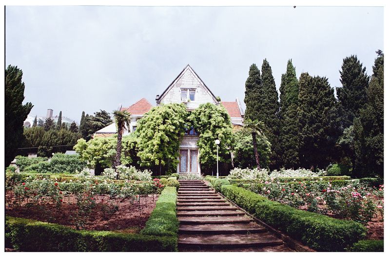 плёнка  фото превью