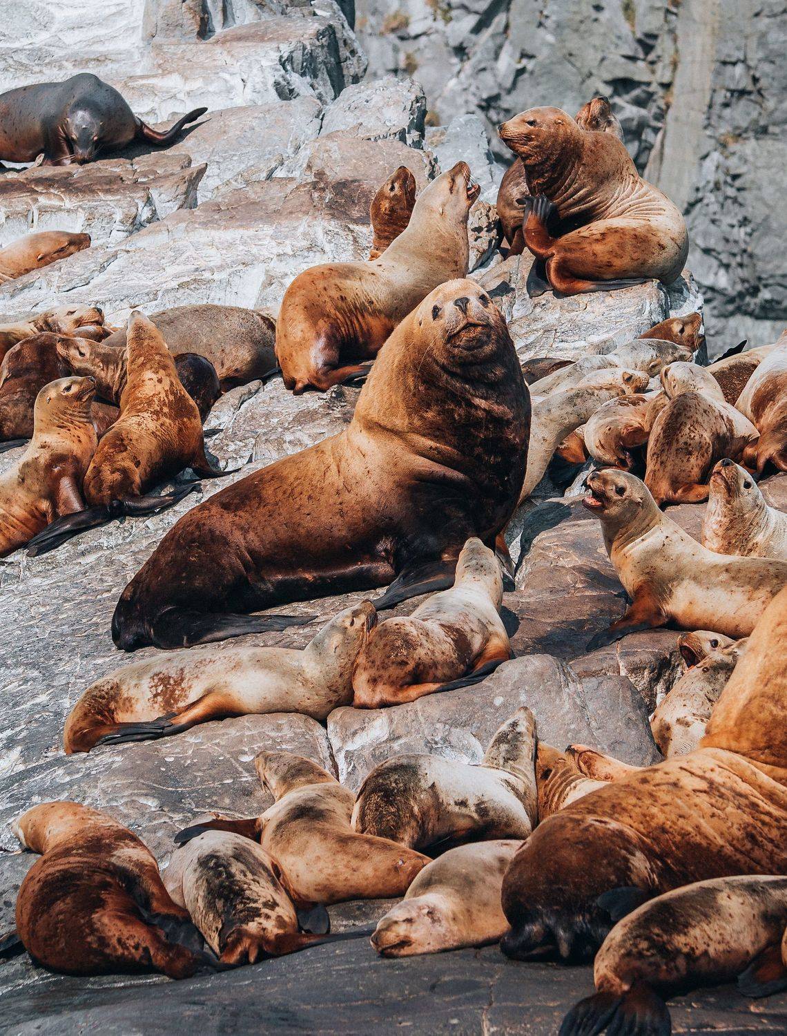 камчатка, kamchatka, камчатский край, Andrey Raspopov