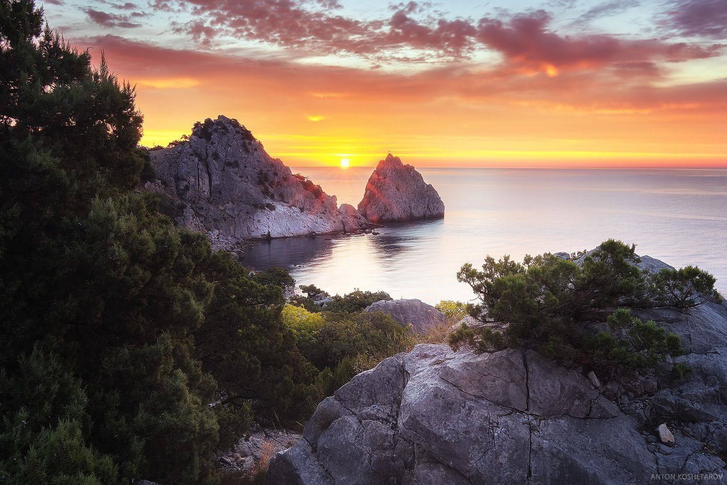 , Антон Кошетаров