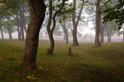 Проходя мимо