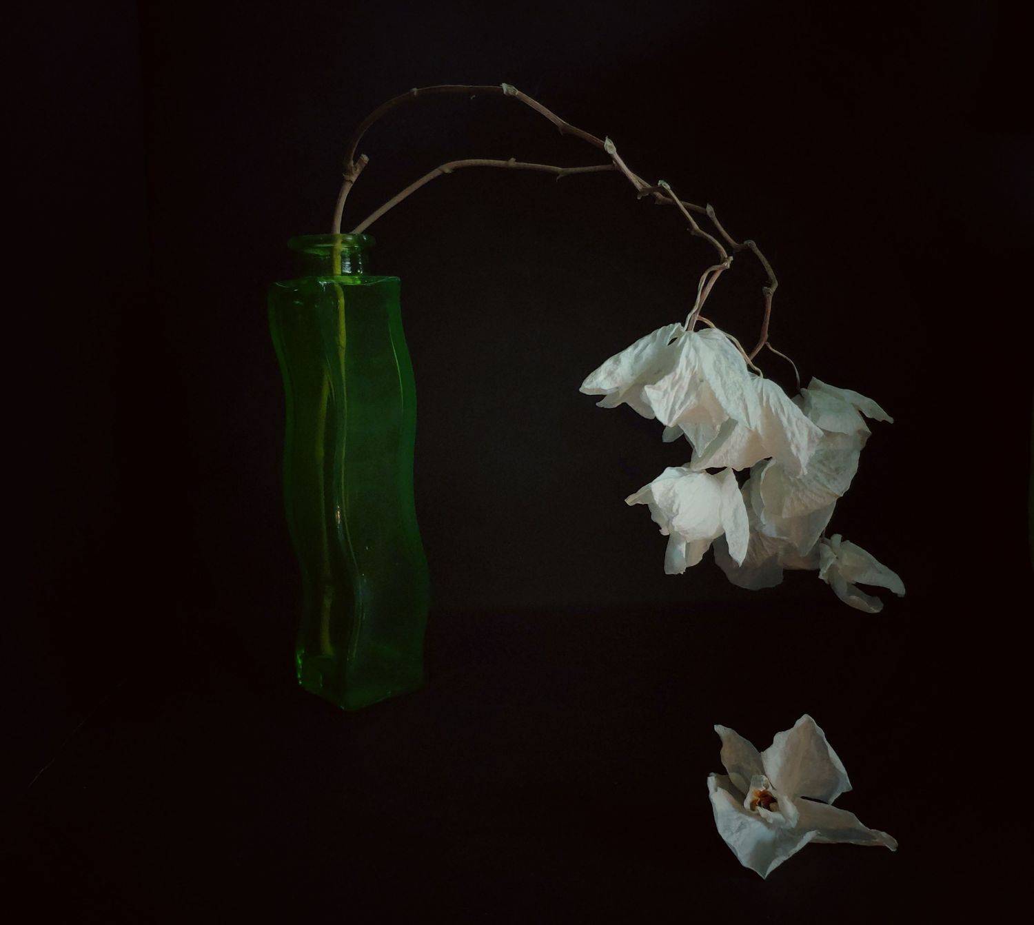 , Димитър Стоянов