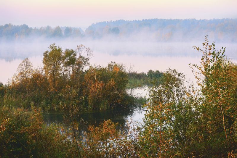 утро, озеро, туман Осеннее утро фото превью