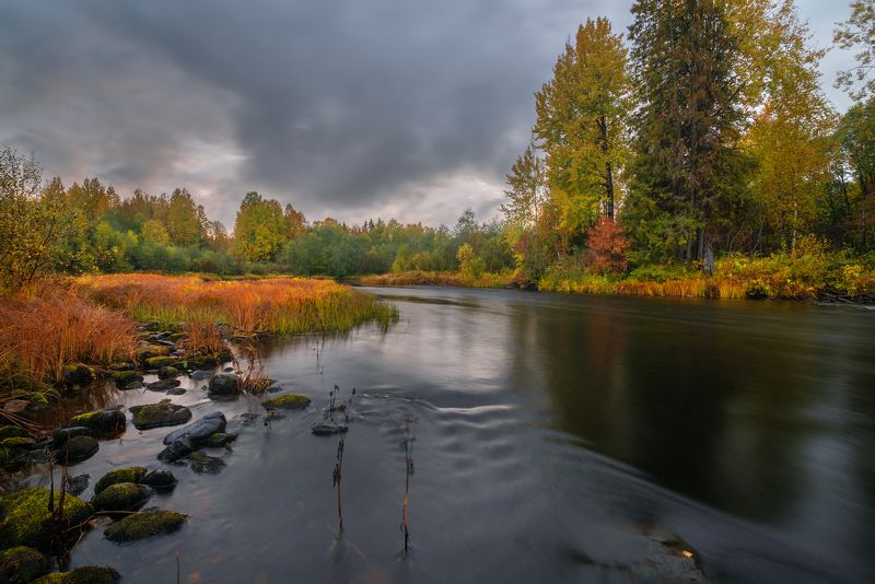 *** фото превью