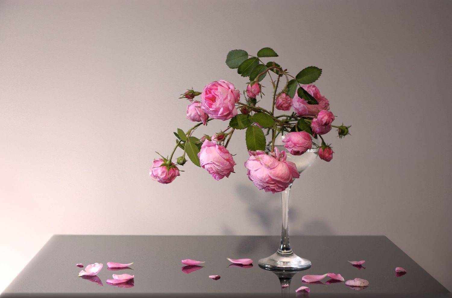 розы, Ольга Заболотская