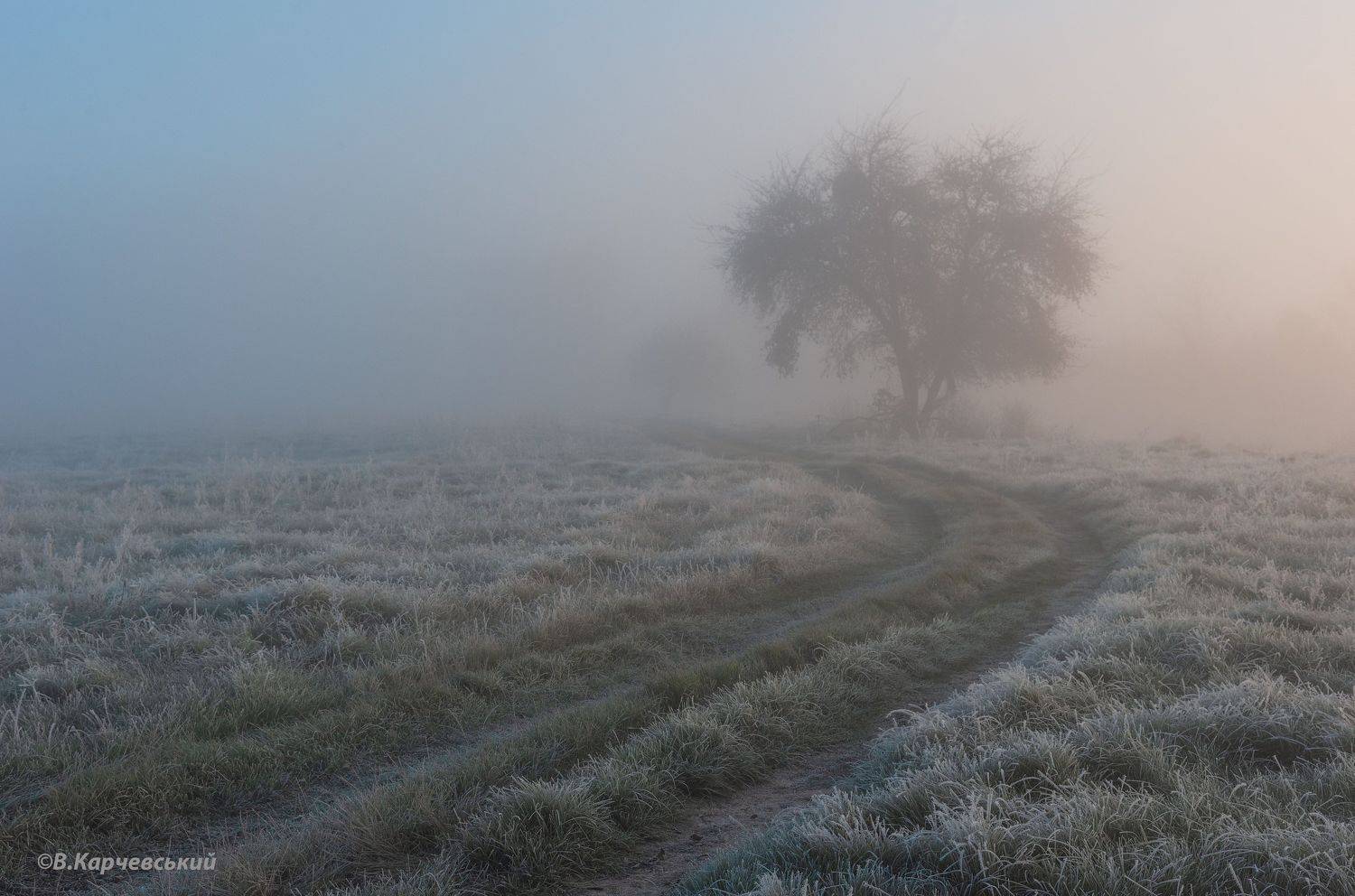 , Володимир Карчевський