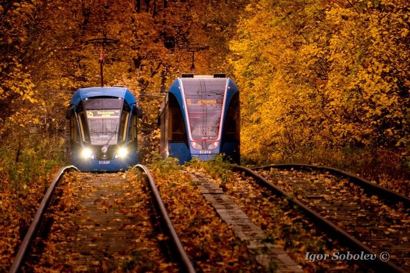 Осенние трамвайчики фото превью