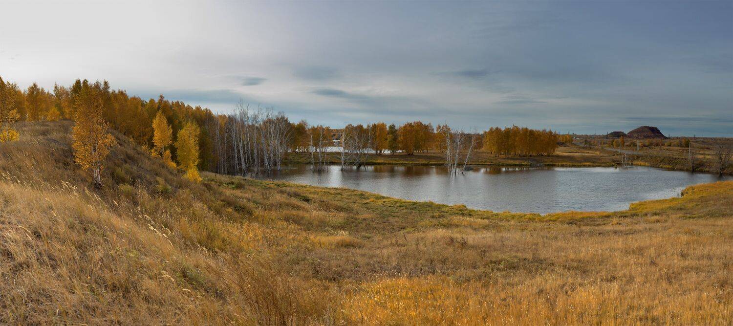 , Александр Журавлёв