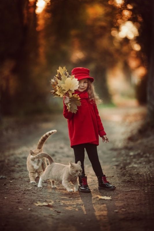 девочка, ребенок, портрет, осень, кот Котами фото не испортишь ;) фото превью