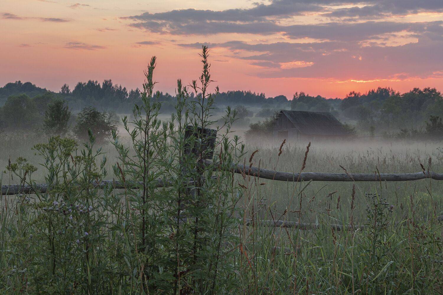 Тверская область, Елена Гусева