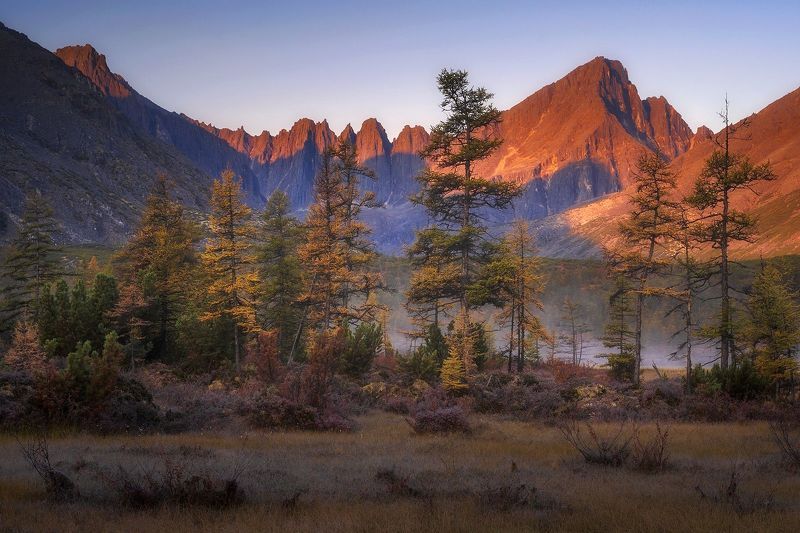 *** фото превью