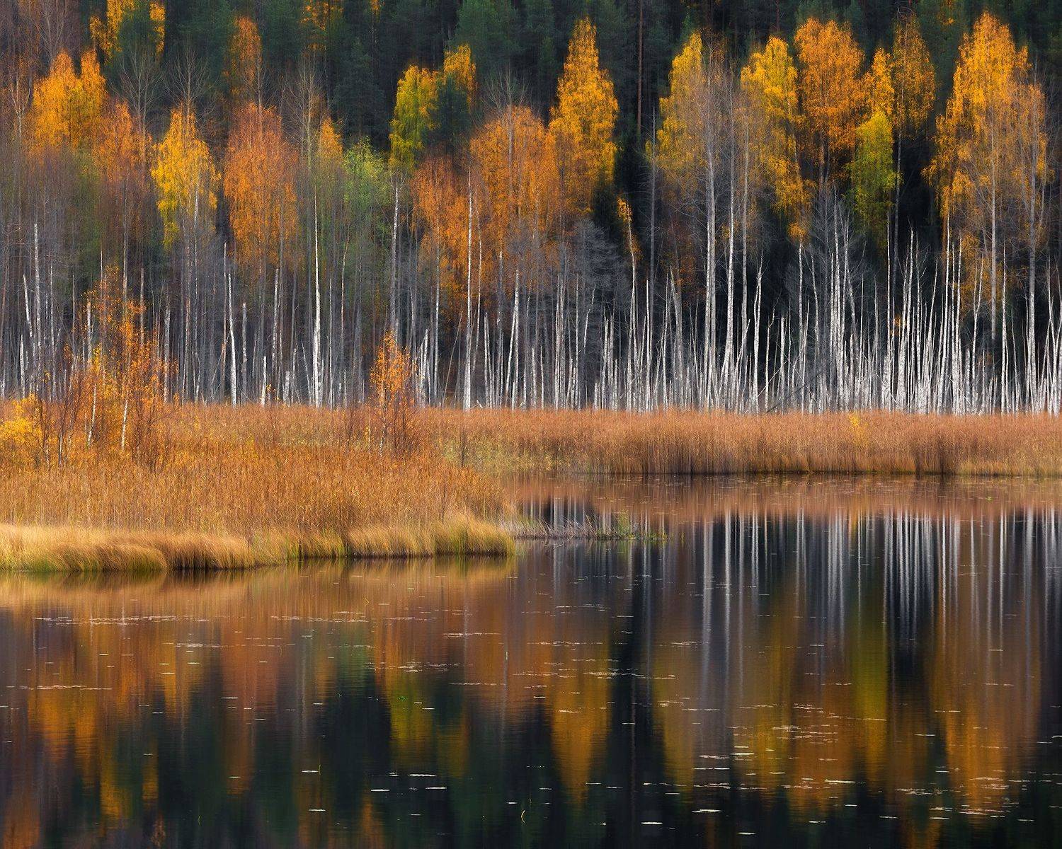 осень, карелия, Алексей Марголин