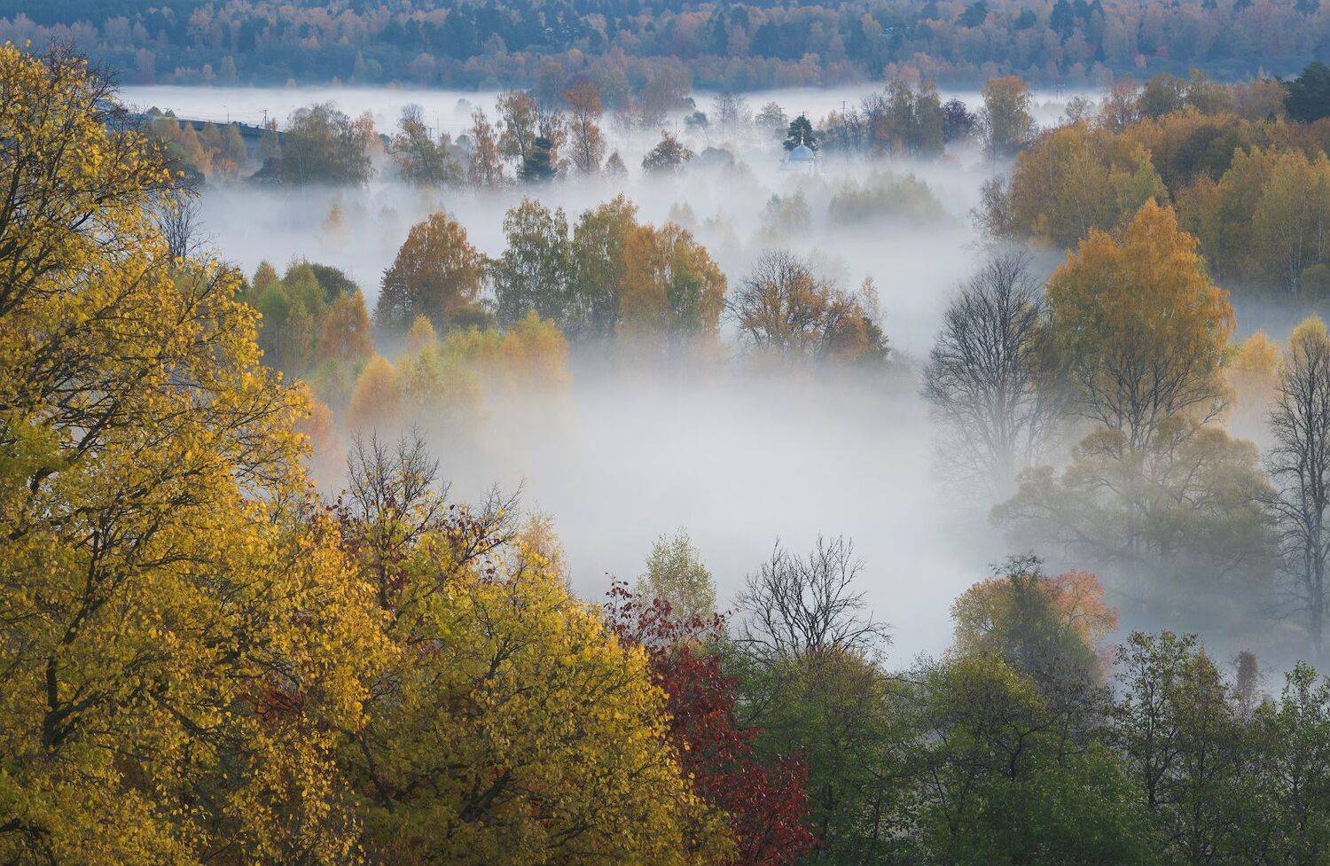 истра, осень, пейзаж, рассвет, Виталий Левыкин