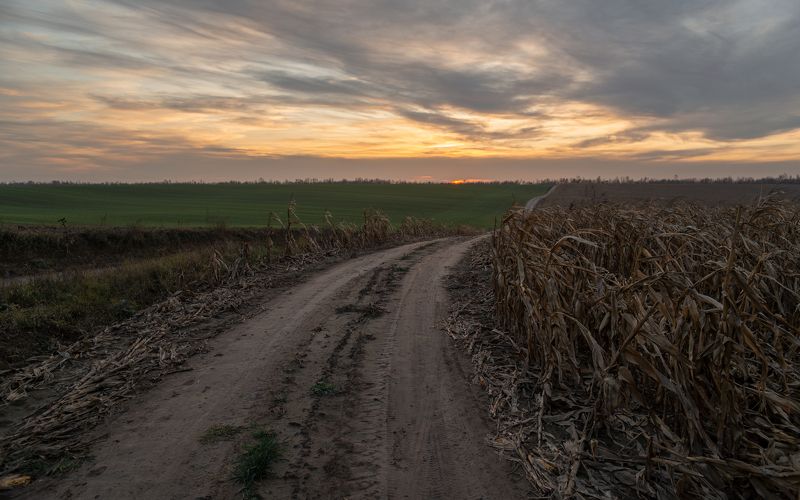 скоро-холода... фото превью
