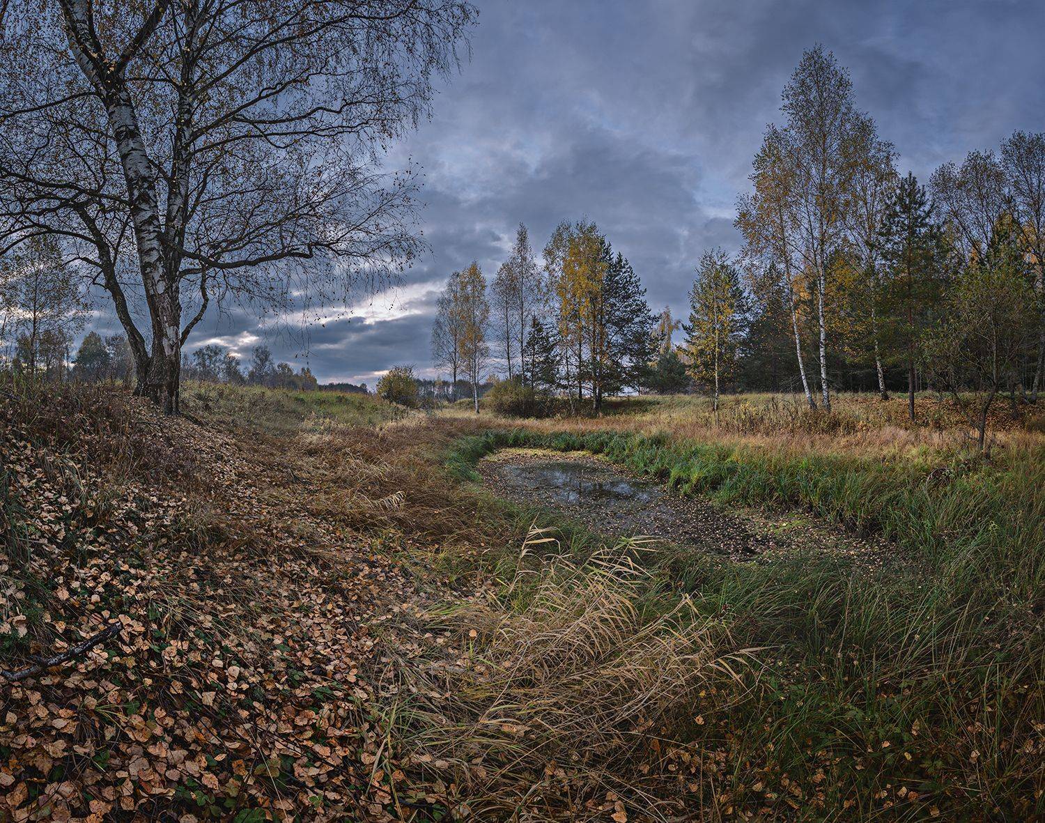 , Николай Андреев