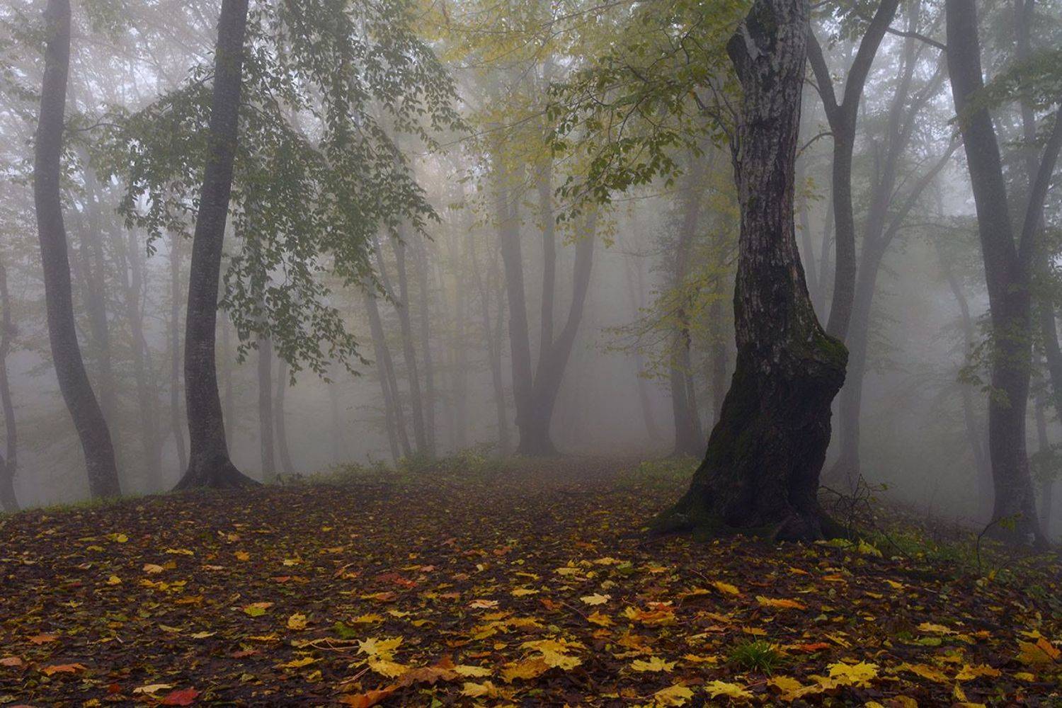 кизиловка, кабардино-балкария, Хасан Журтов