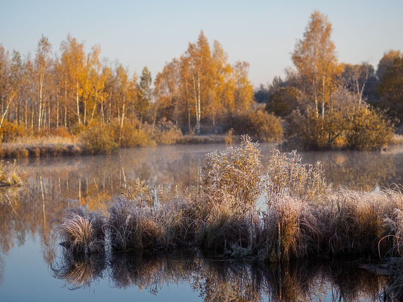 Осенние моменты... фото превью
