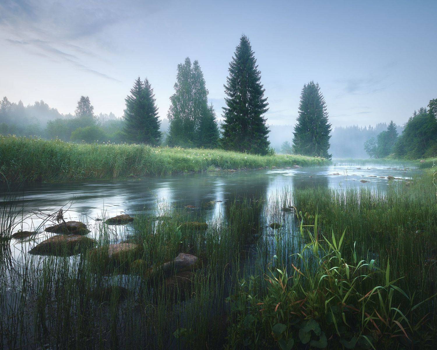 , Антон Кононов