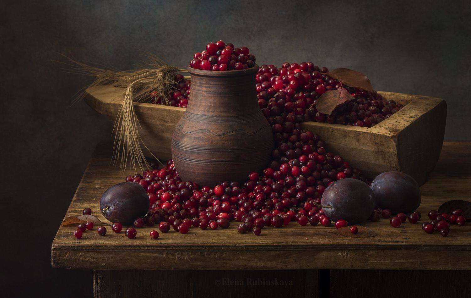 кобква, ягоды, Елена Рубинская
