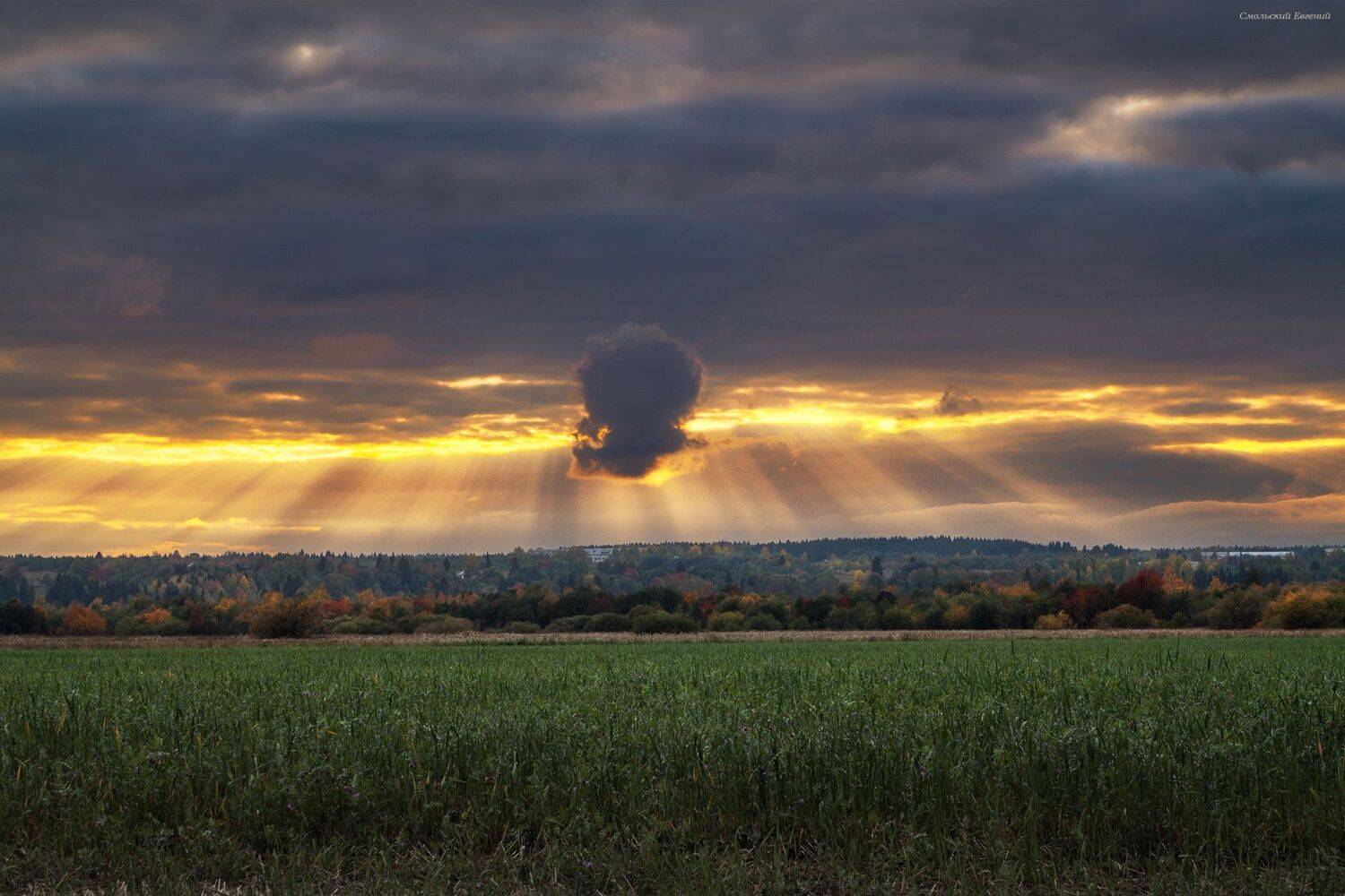 небо, закат, осень, поле., Смольский Евгений