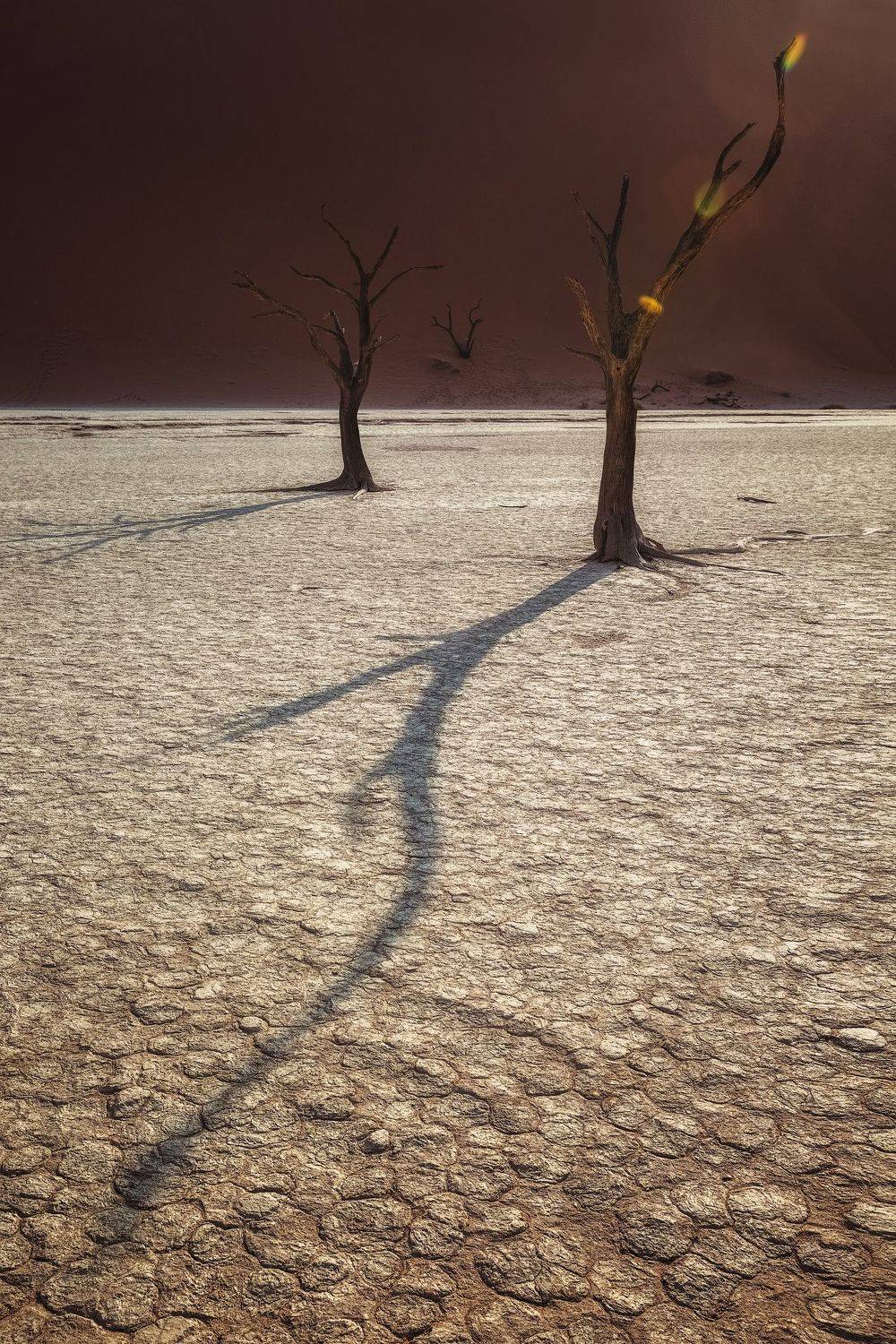 #тень, #дерево,#мертвая долина , #намибия, #африка, #дидвлей, #дюна,#озеро, #africa ,#namibia ,#tree ,#dune ,#deadvley valley ,#deadvley #lake, Наталия Деркач