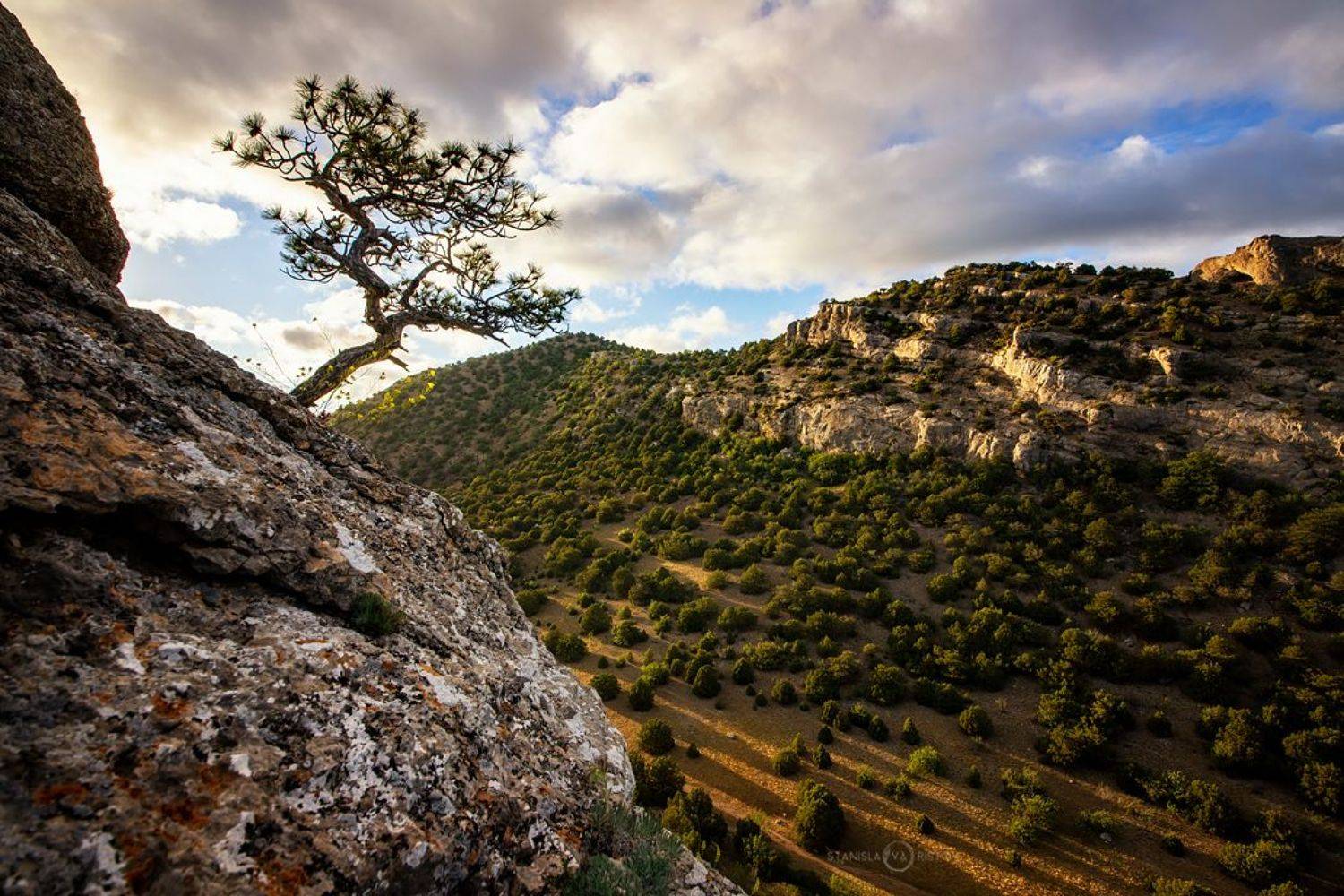 , Станислав Аристов