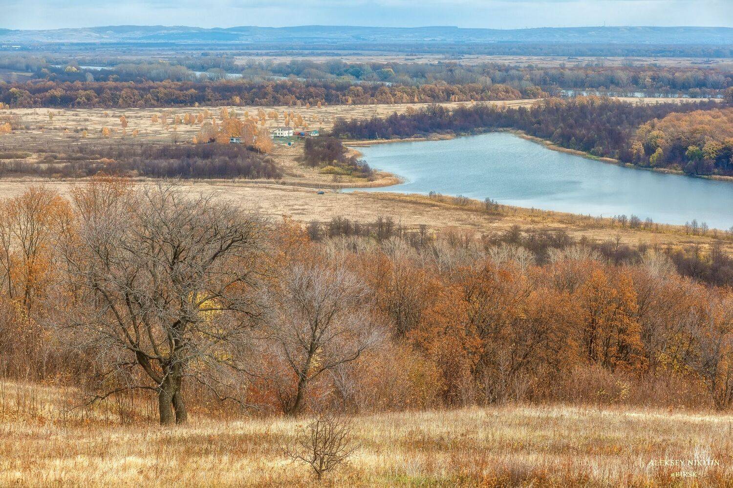 , Алексей Никитин