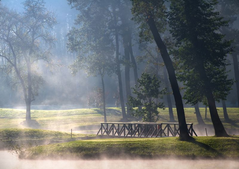 morning in the park... фото превью
