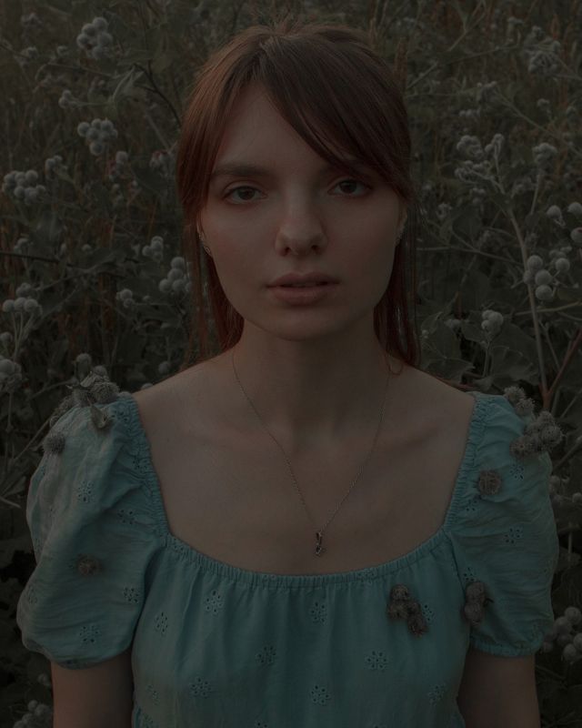 Репейник фото превью