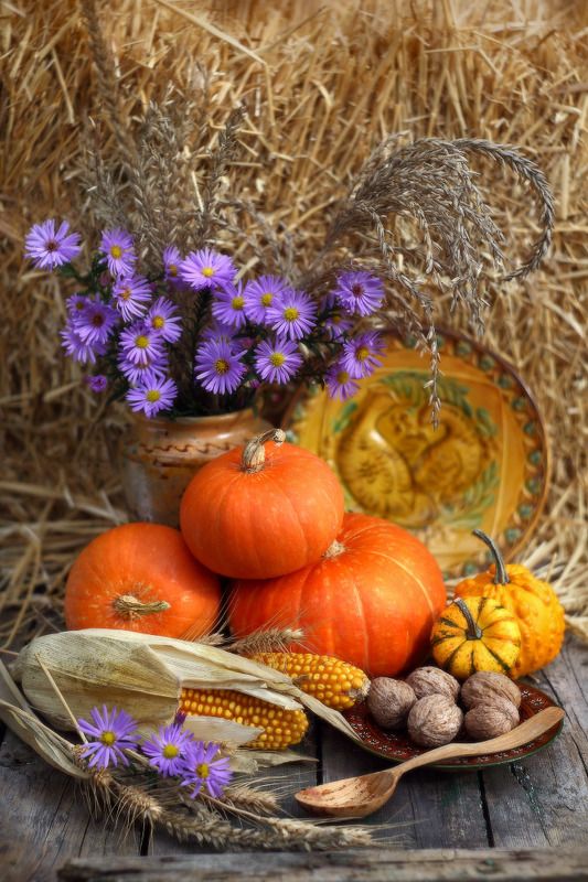 октябрь, осень, тыква Октябрь фото превью