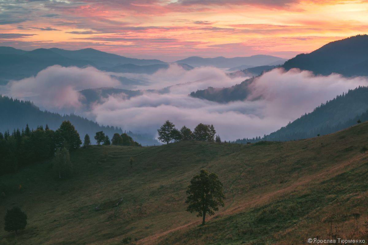 , Ярослав Тюрменко (Jaremi)