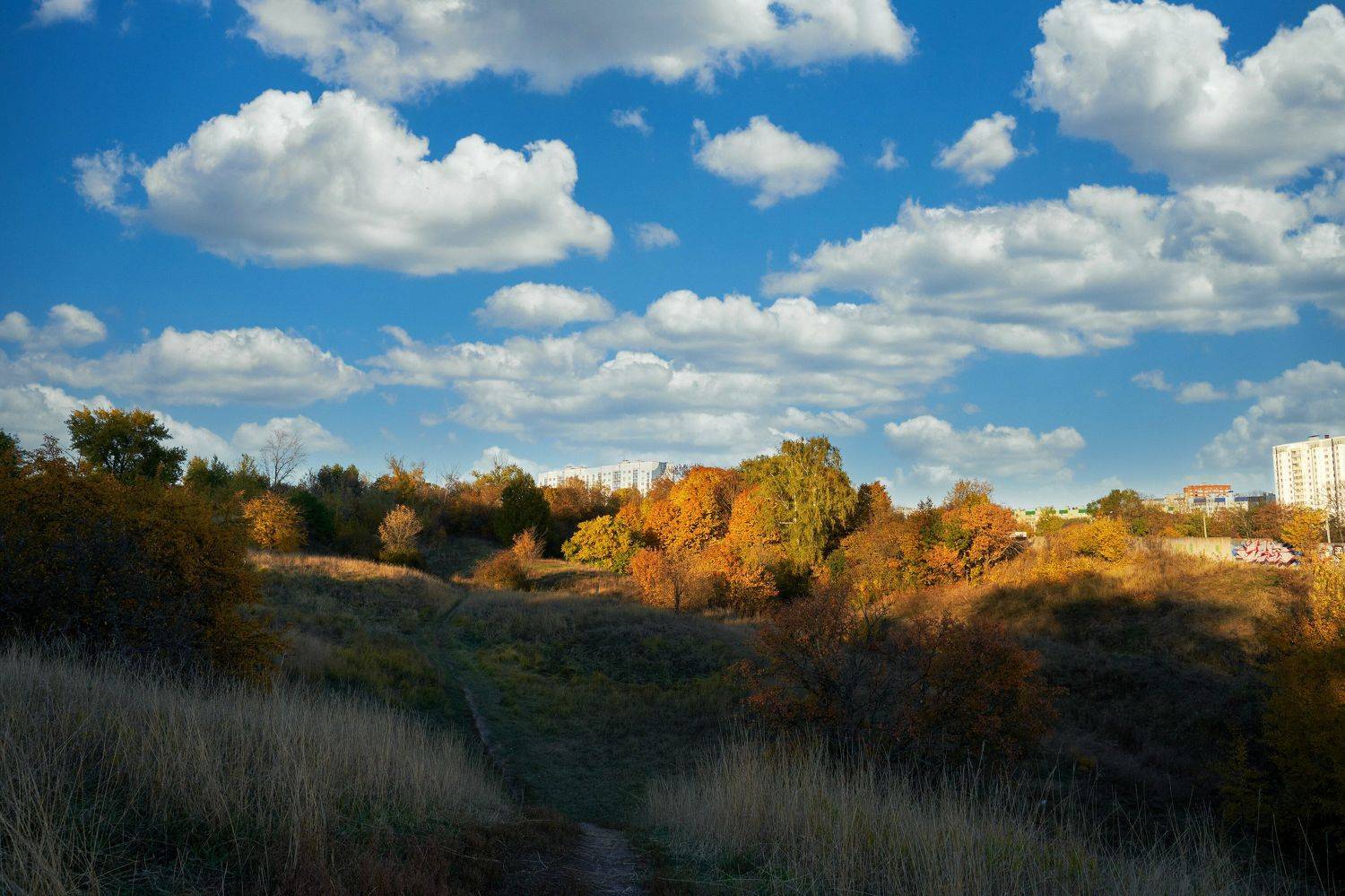 природа, осень, пейзаж,облака, Михаил Кудрявцев