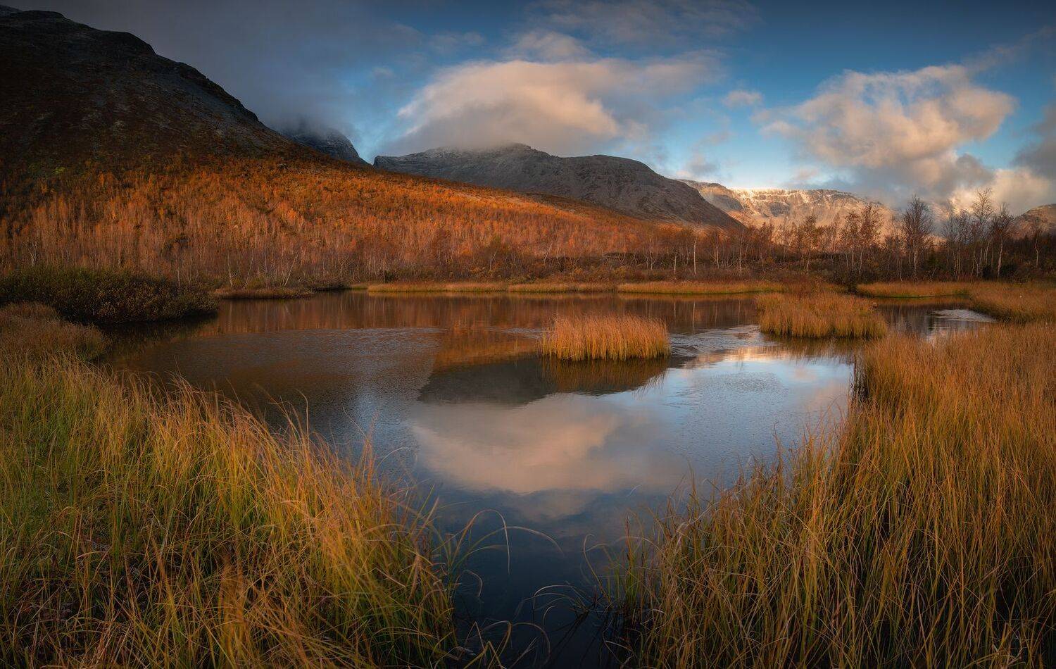 , Виталий Истомин