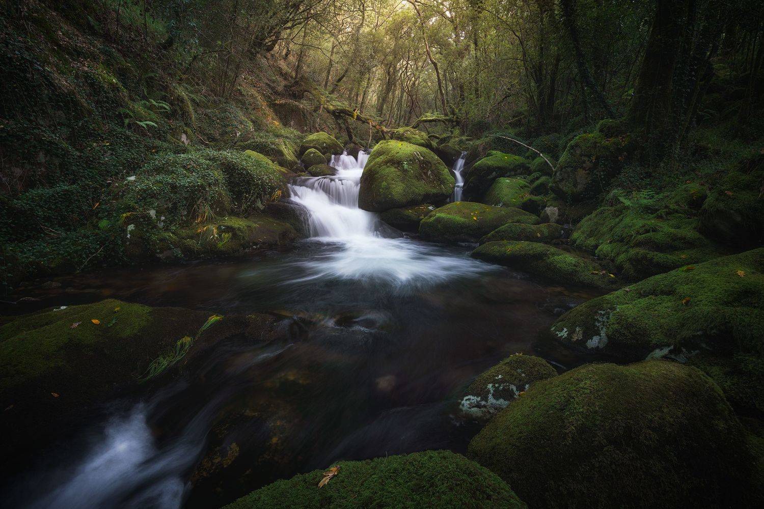 #wood #water #waterfall #river #green #spring #mood, SORAYA SAMPEDRO