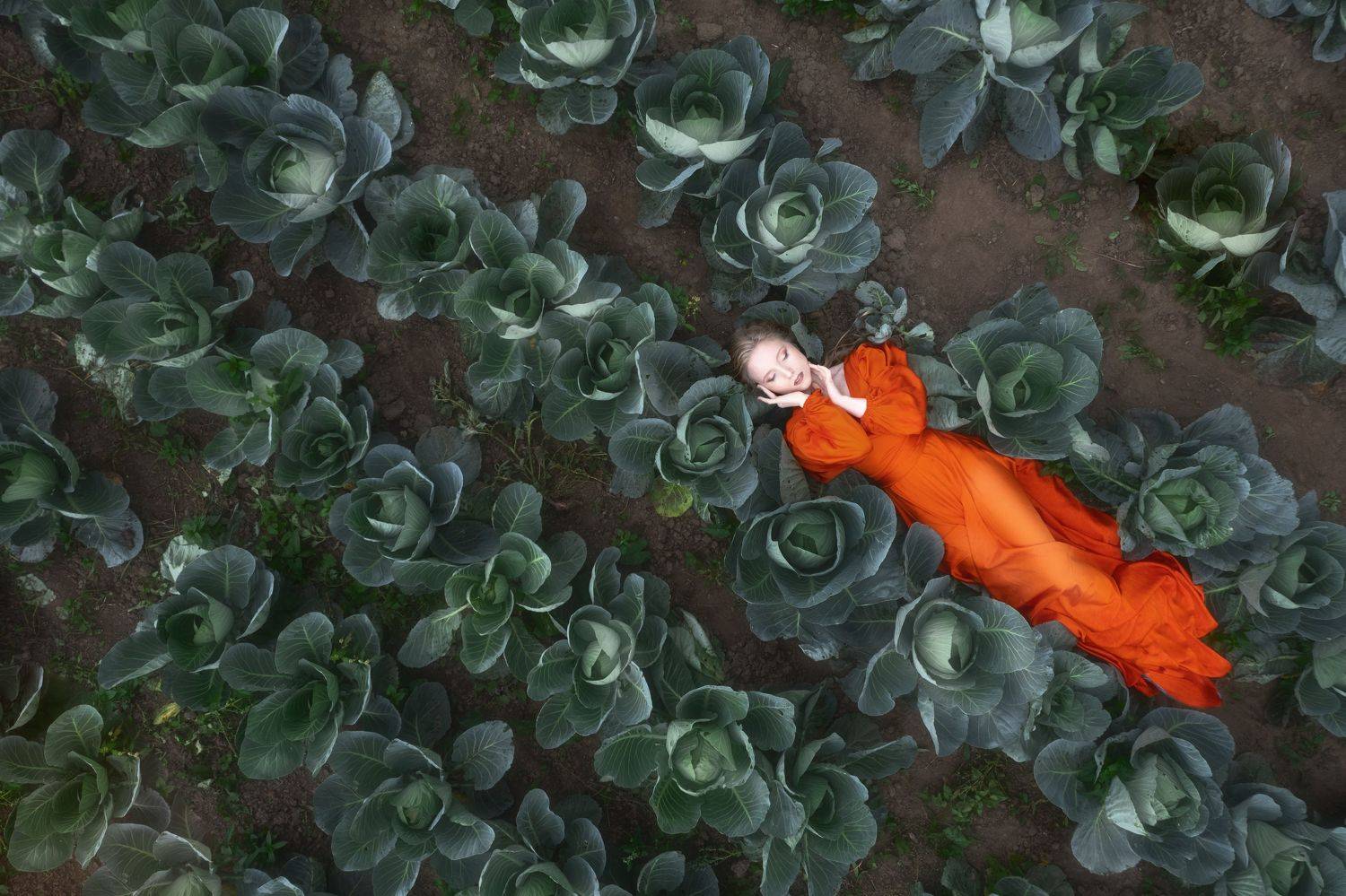 , Можаров Дмитрий