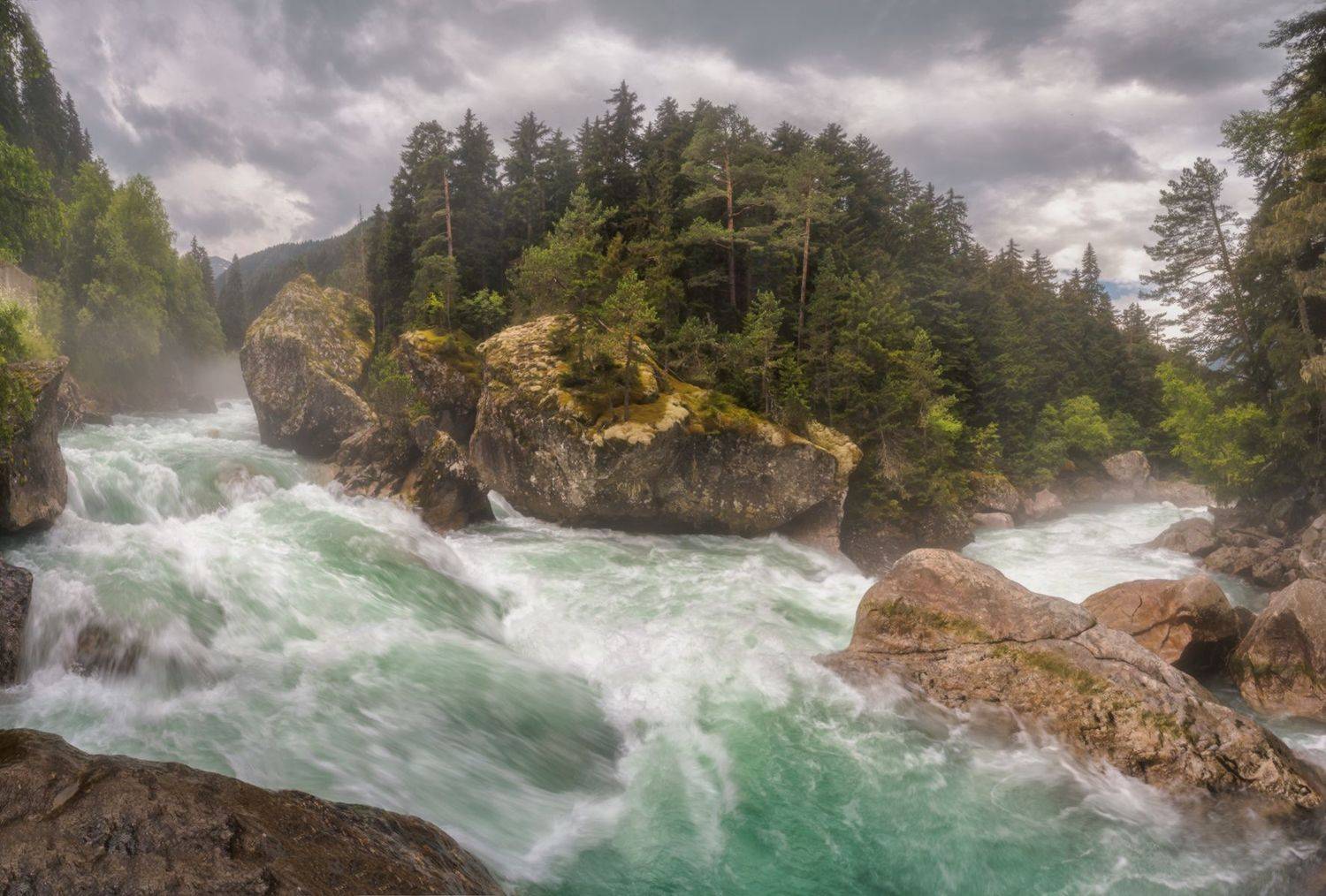 северный кавказ, домбай, гоначхир, ель востосная, Николай Мысливцев