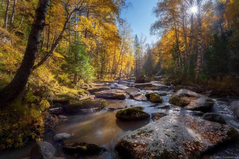 алтай, осень, в лесу, пейзаж, речка. вода, лес, деревья, свет, солнце На камушках фото превью