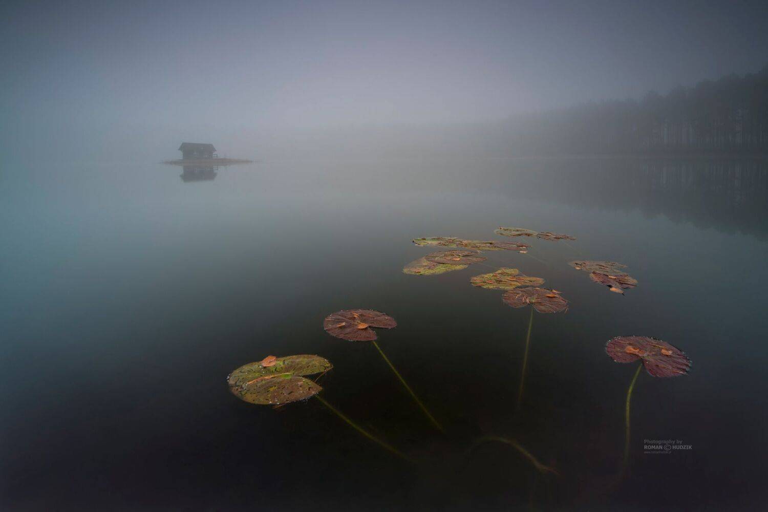 Foggy world, fog, sunrise, lake, landscape, forest, water, sky, manufactories,, Roman Hudzik