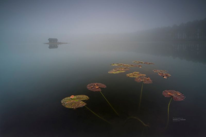 Foggy world, fog, sunrise, lake, landscape, forest, water, sky, manufactories, Foggy world. фото превью