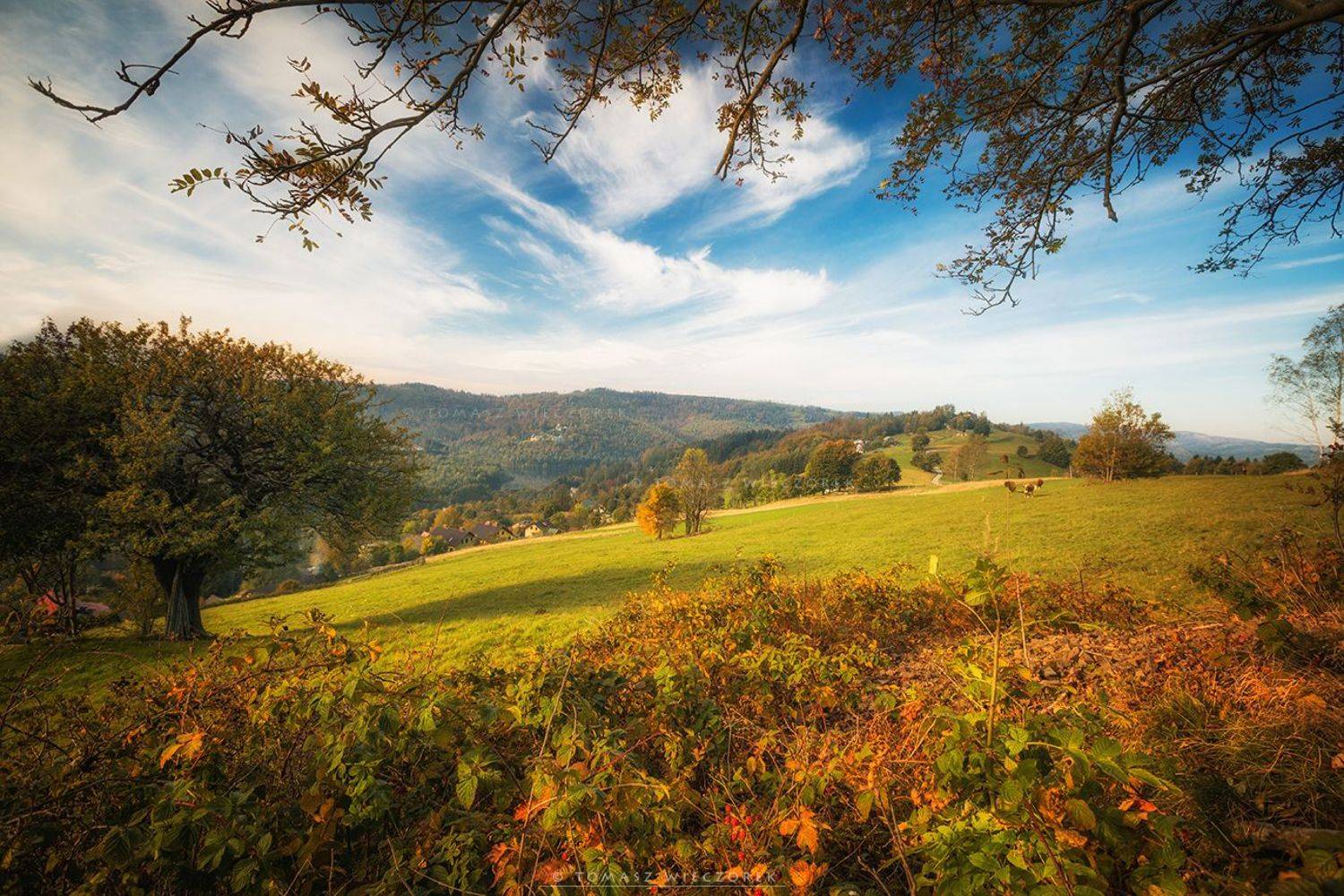 landscape, poland, light, autumn, awesome, amazing, sunrise, sunset, lovely, nature, travel, mountains, trees, orange, cow, colors, Tomasz Wieczorek